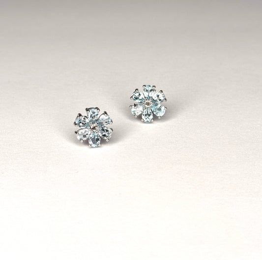 Sterling Silver Genuine Blue Topaz & White Topaz Stud Earrings